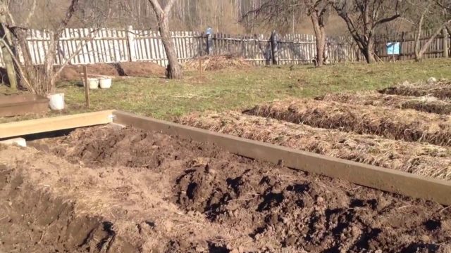 Теплица без фундамента своими руками: тонкости установки, советы + фото
