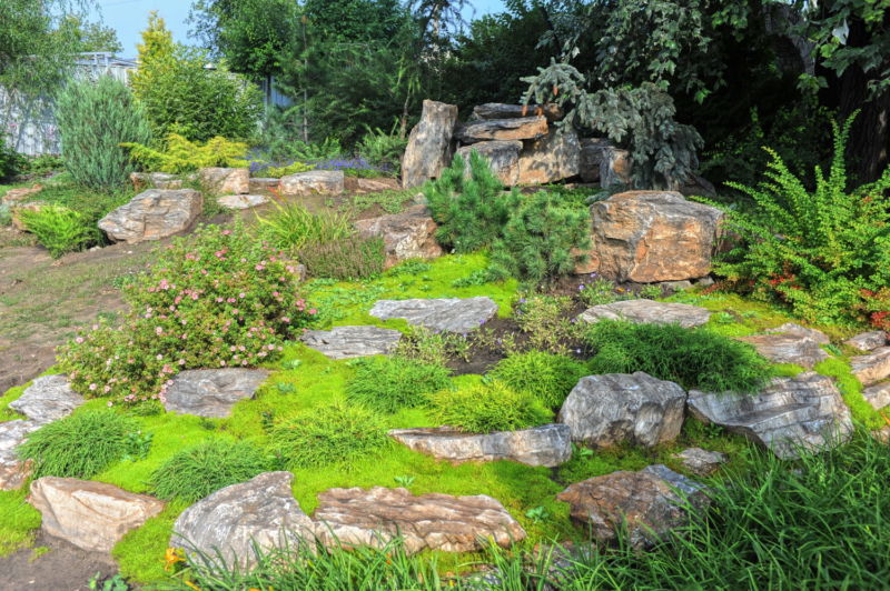 rockeries-angliyskiy_2017