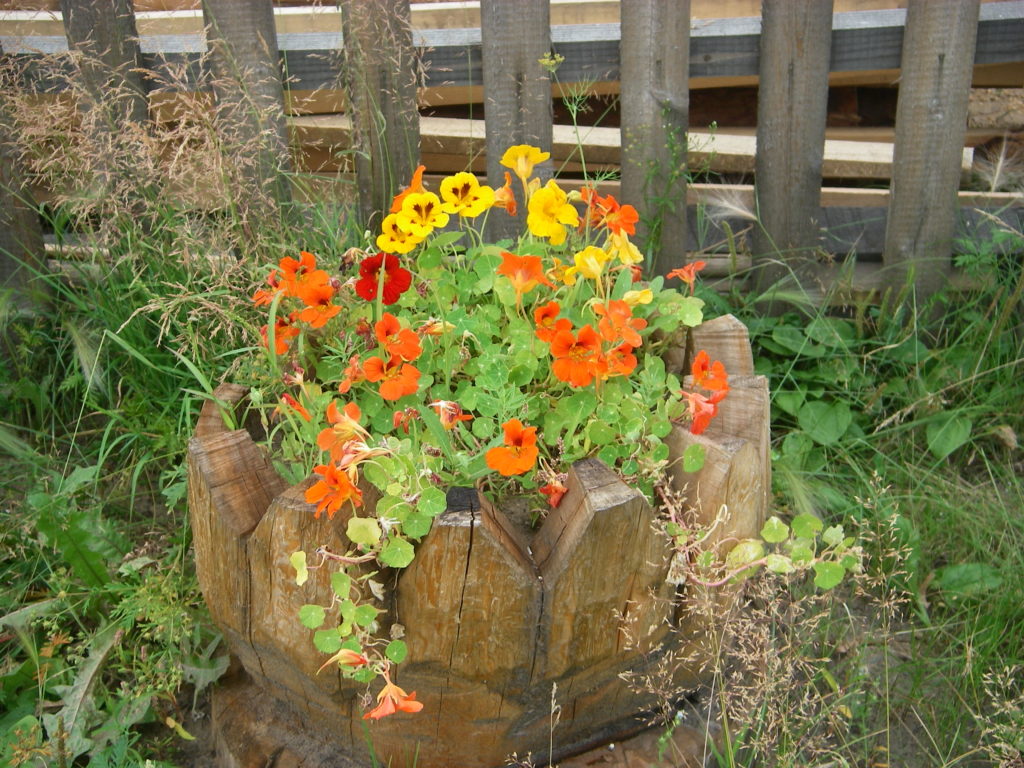 imgp0224