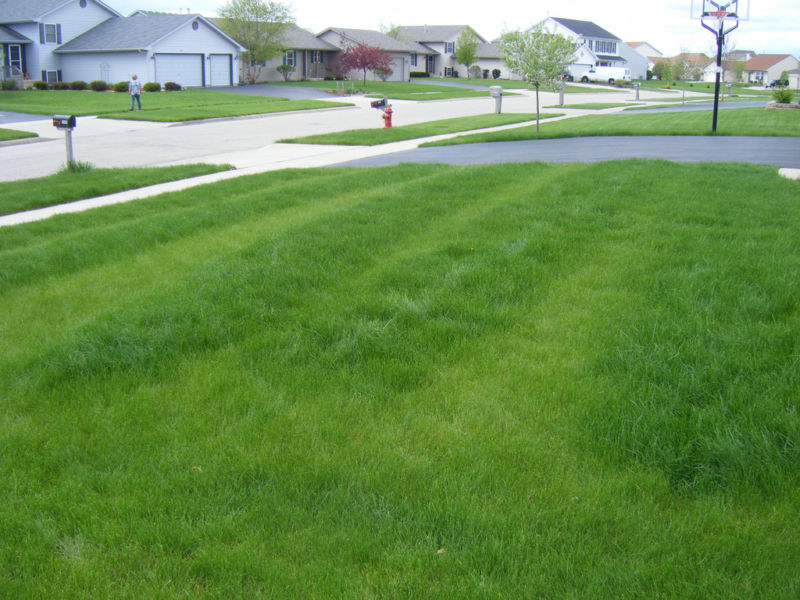 jims-first-lawn-fertilizer-attempt