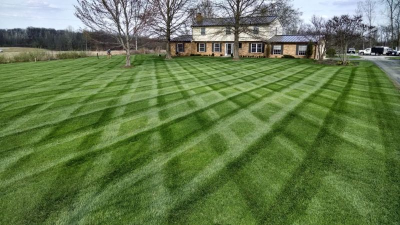 lawn-at-shop-small-2