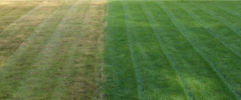 lawnrenovation