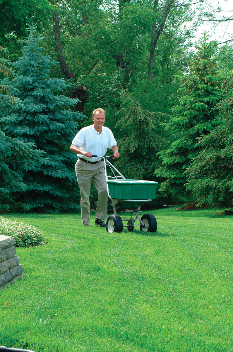 lawns-maintenance_040