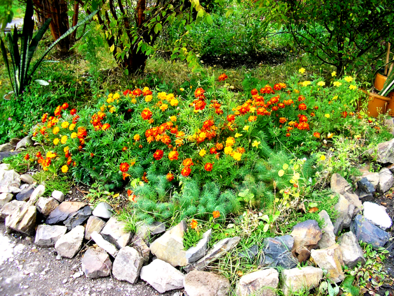 ograzhdeniya-dlya-klumb-svoimi-rukami