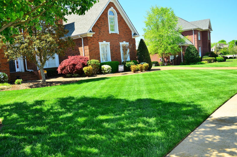 organic-lawn-care
