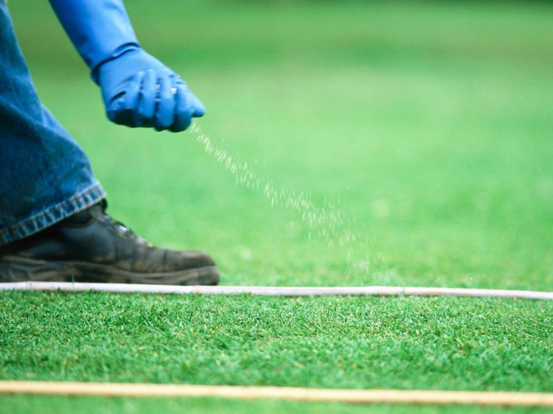 rx-dk-htg42203_fertilize-grass_s4x3-jpg-rend-hgtvcom-1280-960