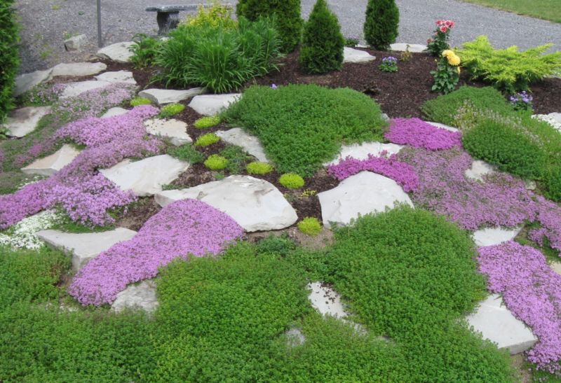 beautiful-rockery