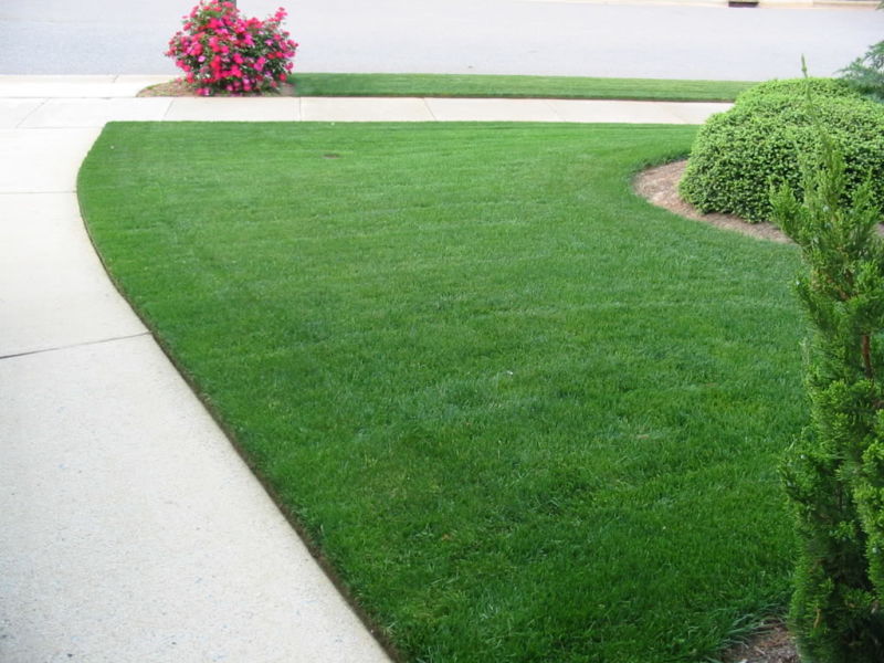 bluegrass-lawn-care-mowing-51