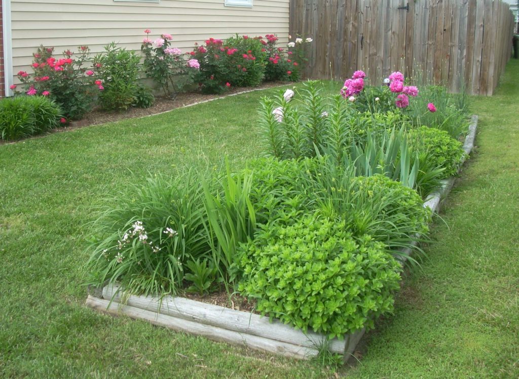 border-rose-garden-beds