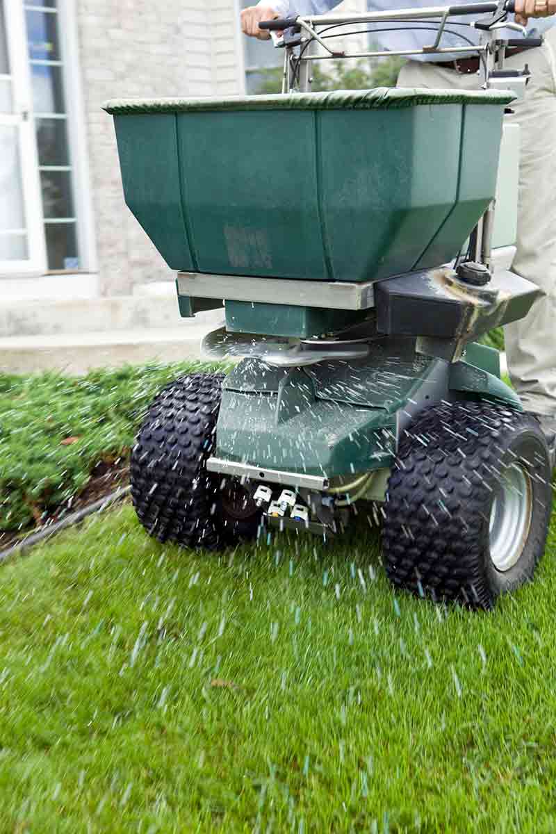 fertilizer_overseeding
