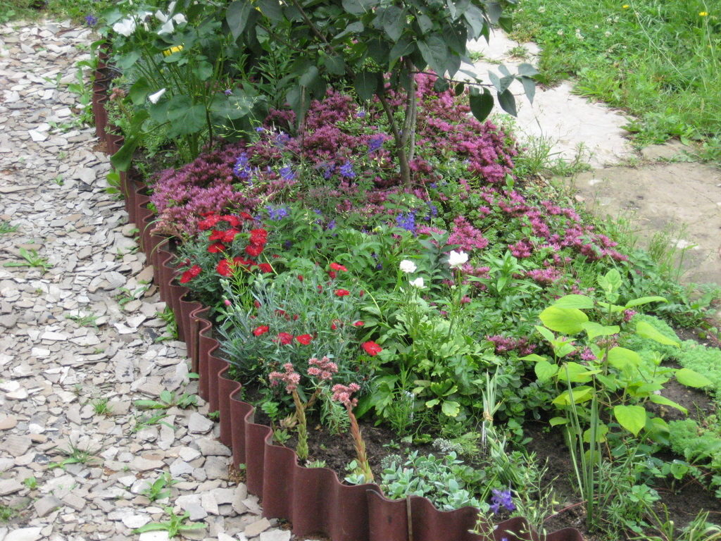 flower_beds_and_borders_05
