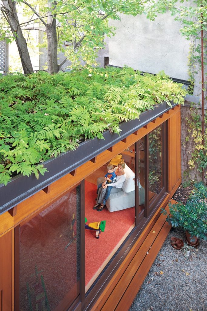 green-roof-05