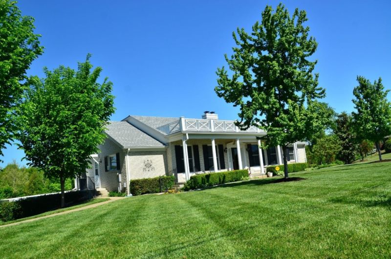 how-to-control-lawn-diseases-1