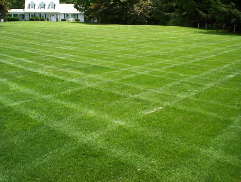 lawn-big