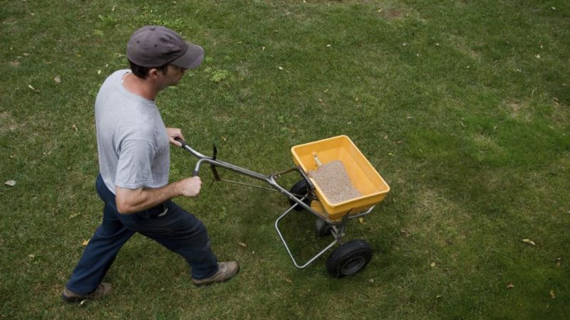 lawn-fertilizer-chart_55039dfd9f39a131_j425dewgteg07wfkaql_zg