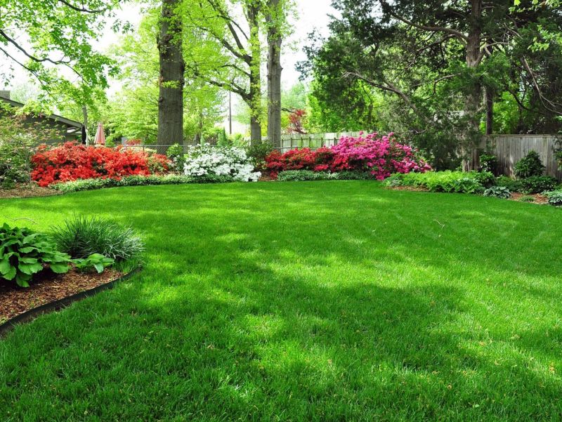 lawn1