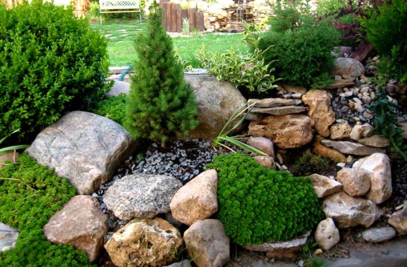 rockeries-angliyskiy-2