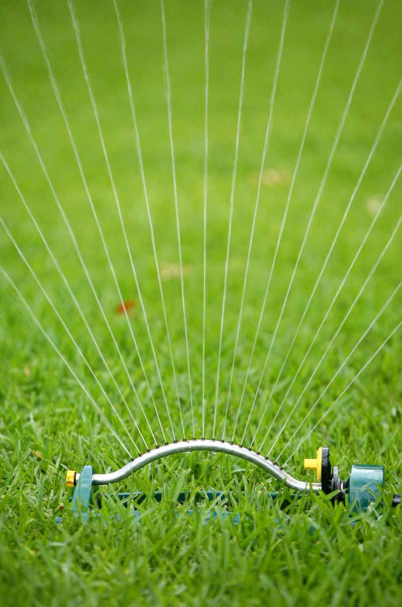 sprinkler_overseeding