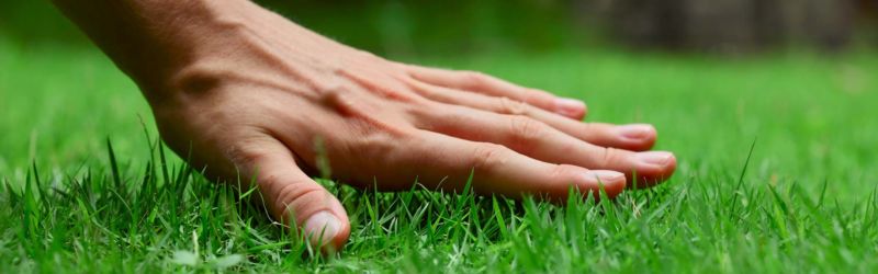 turf-fertilizer-spokane