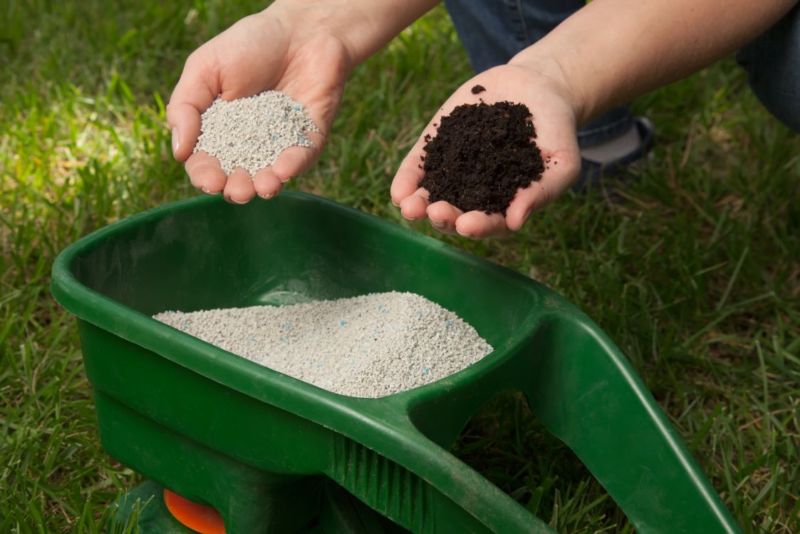 Preparing to fertilize lawn in back yard in spring time ** Note: Shallow depth of field