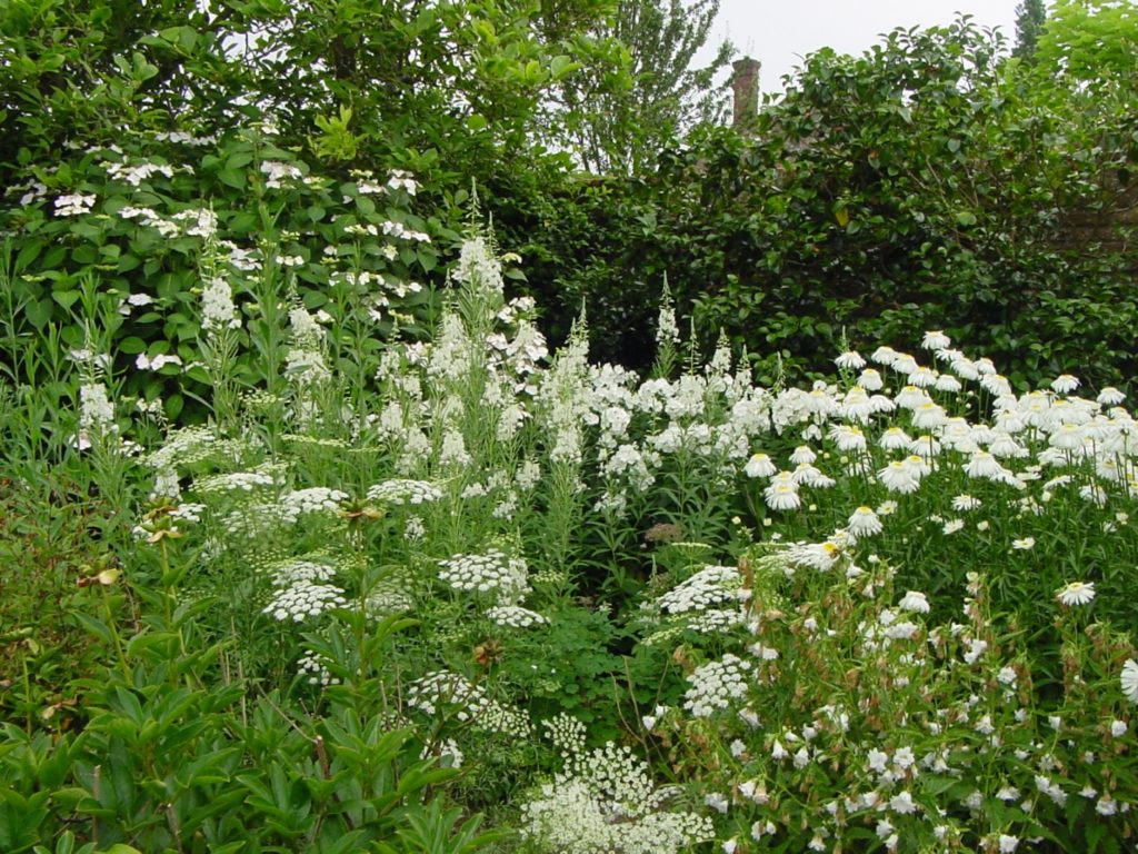 white-garden-3