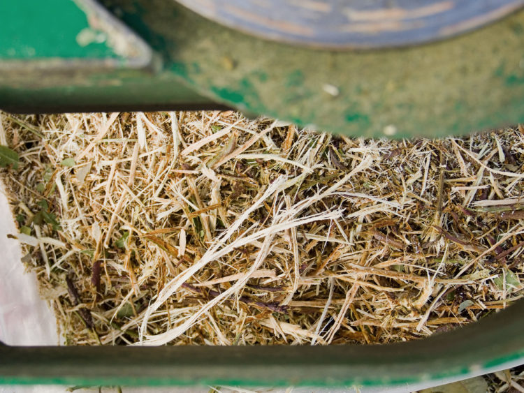 Resultant chippings from a garden mulcher.