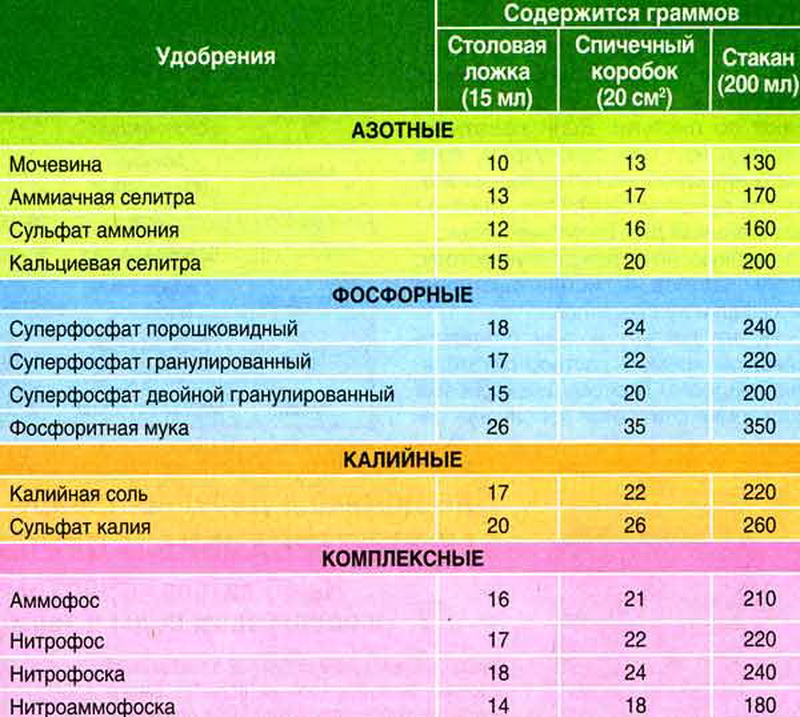 Все о фикусах: виды с подробным описанием и полезные советы