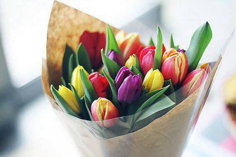 ТОП-10 лучших цветов в подарок на 8 марта