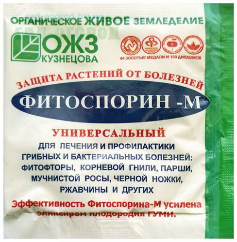 Готовим туи к зимовке: советы опытных садоводов